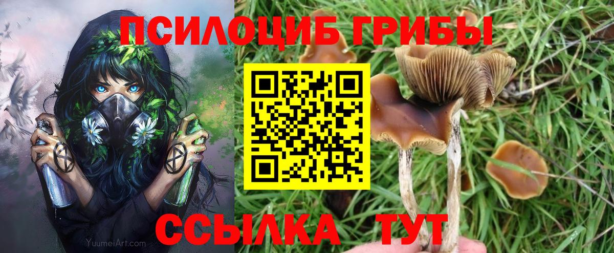 Галлюциногенные грибы Psilocybine cubensis  Вход с VPN  Красноармейск 